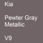 Preview: Kia, Pewter Gray Metallic, V9.